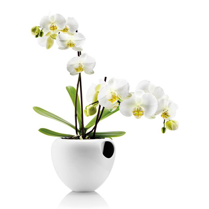 Горшок для орхидей 17 см белый Orchideentopf Eva Solo